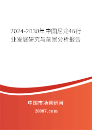 2024-2030年中国尼龙46行业发展研究与前景分析报告