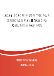 2024-2030年全球与中国PUR热熔胶贴合机行业发展分析及市场前景预测报告