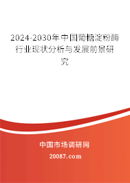 2024-2030年中国葡糖淀粉酶行业现状分析与发展前景研究