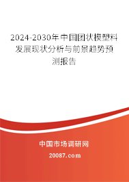 2024-2030年中国团状模塑料发展现状分析与前景趋势预测报告