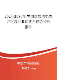 2024-2030年中国盐酸精氨酸注射液行业现状与趋势分析报告