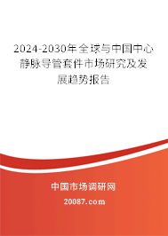 2024-2030年全球与中国中心静脉导管套件市场研究及发展趋势报告