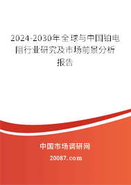 2024-2030年全球与中国铂电阻行业研究及市场前景分析报告