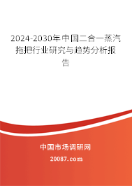 2024-2030年中国二合一蒸汽拖把行业研究与趋势分析报告