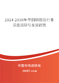 2024-2030年中国磷酸盐行业深度调研与发展趋势