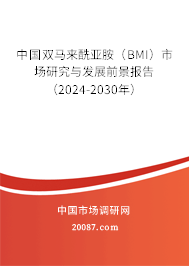 中国双马来酰亚胺（BMI）市场研究与发展前景报告（2024-2030年）