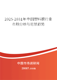 2025-2031年中国塑料模行业市场分析与前景趋势 2025-2031年中国塑料模行业市场分析与前景趋势