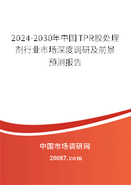 2024-2030年中国TPR胶处理剂行业市场深度调研及前景预测报告