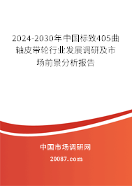 2024-2030年中国标致405曲轴皮带轮行业发展调研及市场前景分析报告