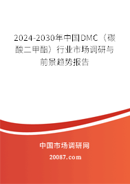 2024-2030年中国DMC（碳酸二甲酯）行业市场调研与前景趋势报告