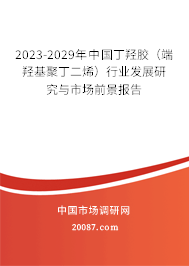 2023-2029年中国丁羟胶（端羟基聚丁二烯）行业发展研究与市场前景报告