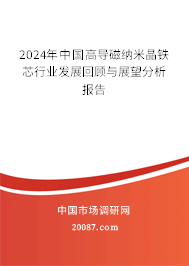 2024年中国高导磁纳米晶铁芯行业发展回顾与展望分析报告