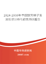 2024-2030年中国家用梯子发展现状分析与趋势预测报告