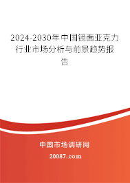 2024-2030年中国镜面亚克力行业市场分析与前景趋势报告