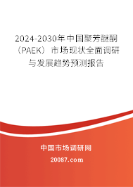 2024-2030年中国聚芳醚酮（PAEK）市场现状全面调研与发展趋势预测报告