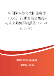 中国染料敏化太阳能电池（DSC）行业发展全面调研与未来趋势预测报告（2024-2030年）