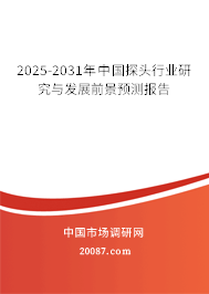 2025-2031年中国探头行业研究与发展前景预测报告 2025-2031年中国探头行业研究与发展前景预测报告