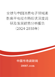 全球与中国消费电子领域柔性扁平电缆市场现状深度调研及发展趋势分析报告（2024-2030年）