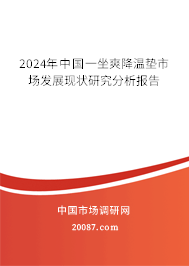 2024年中国一坐爽降温垫市场发展现状研究分析报告