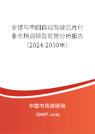 全球与中国自动驾驶芯片行业市场调研及前景分析报告（2024-2030年）