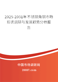 2025-2031年不锈钢角钢市场现状调研与发展趋势分析报告 2025-2031年不锈钢角钢市场现状调研与发展趋势分析报告