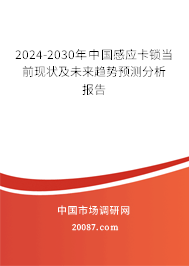 2024-2030年中国感应卡锁当前现状及未来趋势预测分析报告