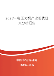 2023年电压力煲产业现状研究分析报告