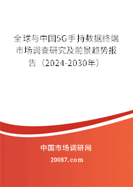 全球与中国5G手持数据终端市场调查研究及前景趋势报告（2024-2030年）