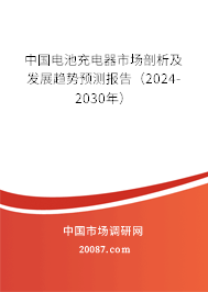 中国电池充电器市场剖析及发展趋势预测报告（2024-2030年）