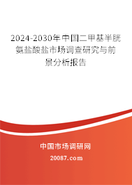 2024-2030年中国二甲基半胱氨盐酸盐市场调查研究与前景分析报告