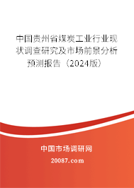 中国贵州省煤炭工业行业现状调查研究及市场前景分析预测报告（2024版）