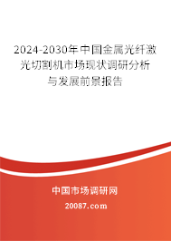 2024-2030年中国金属光纤激光切割机市场现状调研分析与发展前景报告