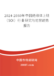 2024-2030年中国绝缘体上硅（SOI）行业研究与前景趋势报告