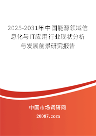 2025-2031年中国能源领域信息化与IT应用行业现状分析与发展前景研究报告 2025-2031年中国能源领域信息化与IT应用行业现状分析与发展前景研究报告