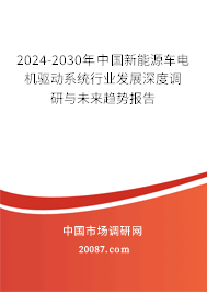 2024-2030年中国新能源车电机驱动系统行业发展深度调研与未来趋势报告