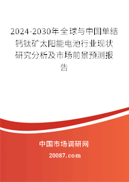 2024-2030年全球与中国单结钙钛矿太阳能电池行业现状研究分析及市场前景预测报告