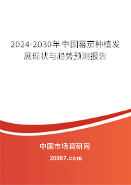 2024-2030年中国蕃茄种植发展现状与趋势预测报告