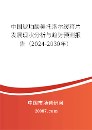 中国琥珀酸美托洛尔缓释片发展现状分析与趋势预测报告（2024-2030年）