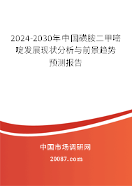 2024-2030年中国磺胺二甲嘧啶发展现状分析与前景趋势预测报告