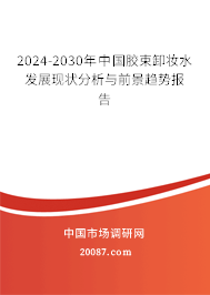 2024-2030年中国胶束卸妆水发展现状分析与前景趋势报告