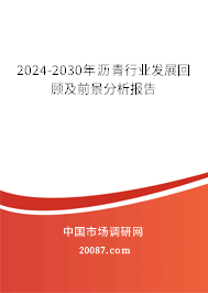 2024-2030年沥青行业发展回顾及前景分析报告