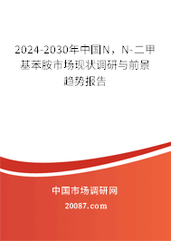 2024-2030年中国N，N-二甲基苯胺市场现状调研与前景趋势报告