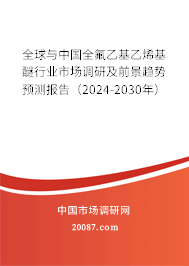 全球与中国全氟乙基乙烯基醚行业市场调研及前景趋势预测报告（2024-2030年）