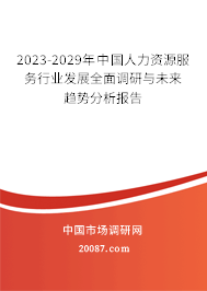 2023-2029年中国人力资源服务行业发展全面调研与未来趋势分析报告