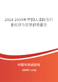 2024-2030年中国人造刚玉行业现状与前景趋势报告