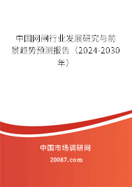 中国网闸行业发展研究与前景趋势预测报告（2024-2030年）