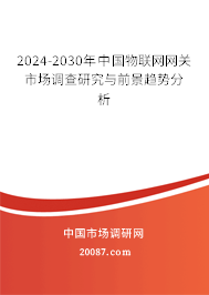 2024-2030年中国物联网网关市场调查研究与前景趋势分析