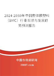 2024-2030年中国整体模塑料（BMC）行业现状与发展趋势预测报告