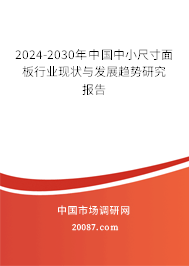 2024-2030年中国中小尺寸面板行业现状与发展趋势研究报告