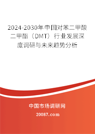 2024-2030年中国对苯二甲酸二甲酯（DMT）行业发展深度调研与未来趋势分析